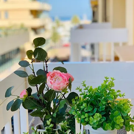 Apartamento Solana Tulipanes *